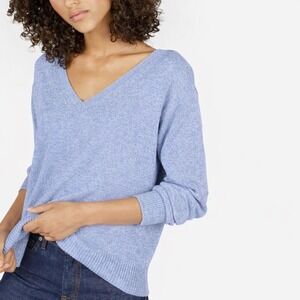 Everlane Women's 100% Cotton V-Neck Sweater Large Blue Boxy Oversized Minimalist